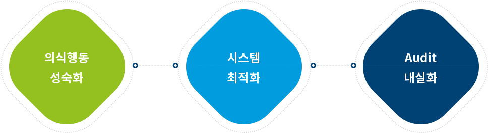 의식행동 성숙화,시스템 최적화,Audit 내실화